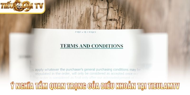 Ý nghĩa tầm quan trọng của điều khoản tại Tieulamtv