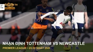 Cầu thủ Tottenham Hotspur và Newcastle United trong ảnh tư liệu trận đấu
