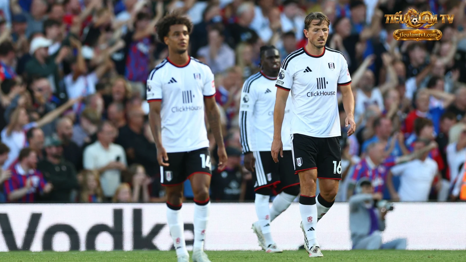 Fulham — ảnh tư liệu của đội bóng