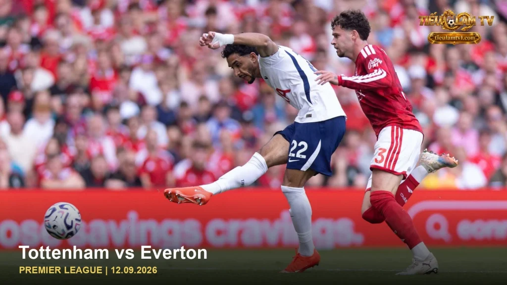 Tottenham vs Everton — ảnh cầu thủ trên sân