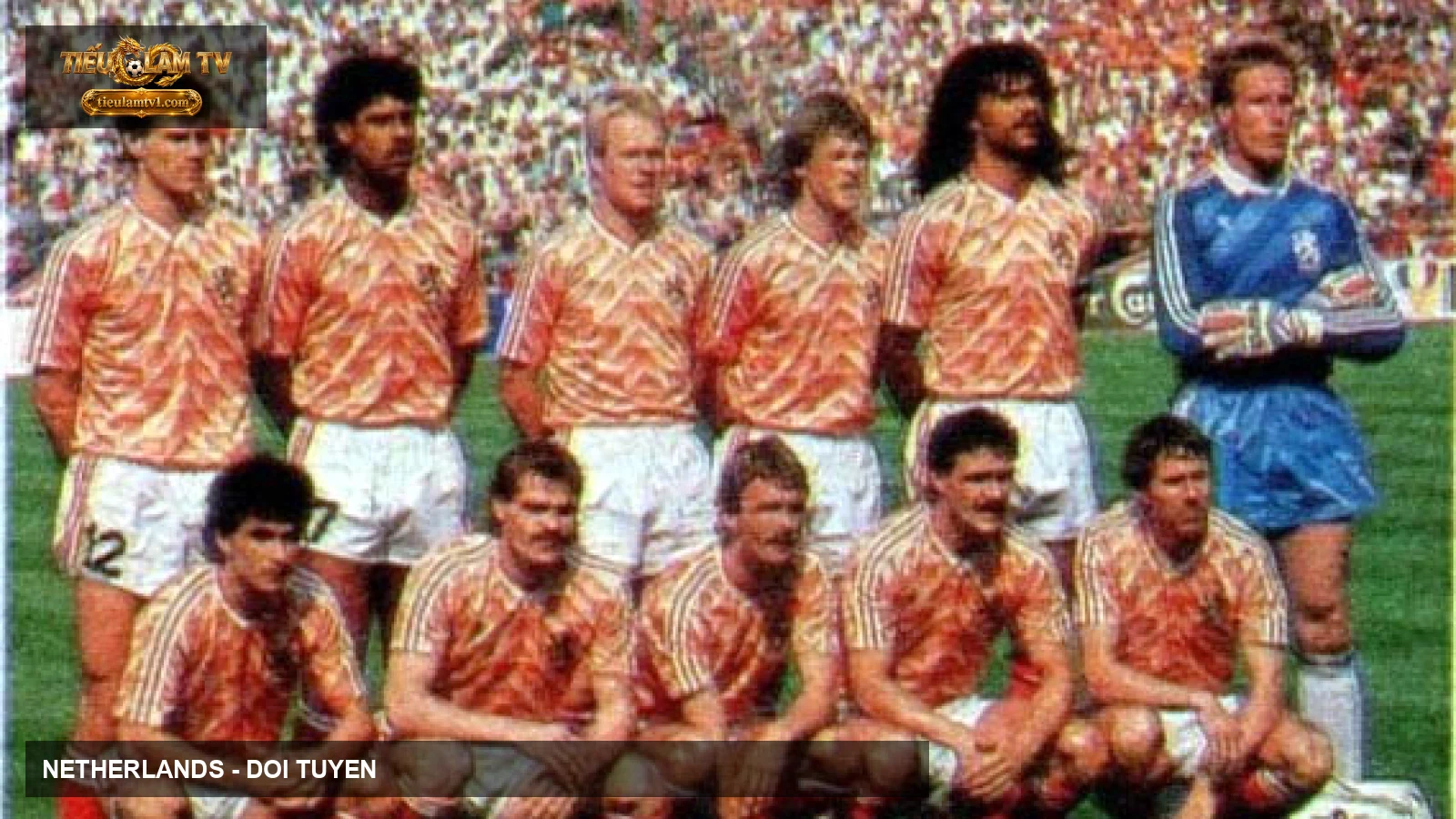 Đội tuyển Netherlands tại EURO 1988